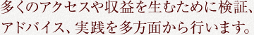 多くのアクセスや収益を生むために検証、アドバイス、実践を多方面から行います。